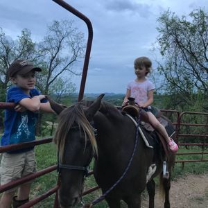 Meet your Posher, Phil